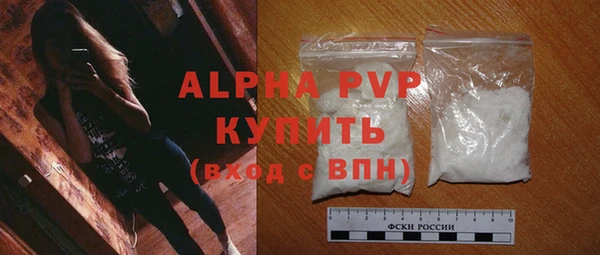 шишки Магас
